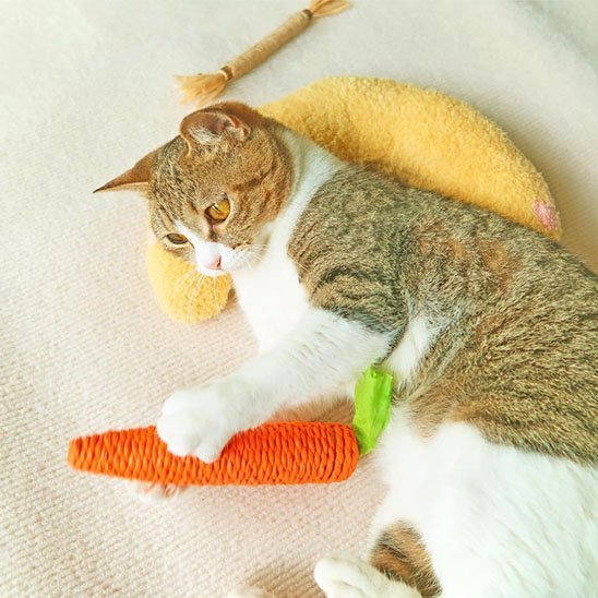 Coussin pour Chat - SmallPetPillowâą - Jaune - Chat Bouge