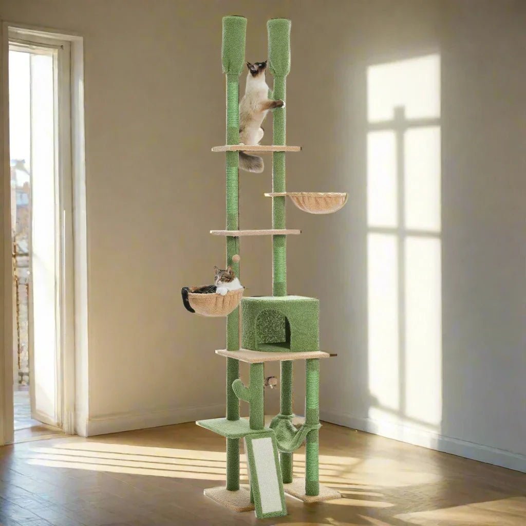 Arbre a Chat - QuantumCatTree™ - Cactus - Chat Bouge