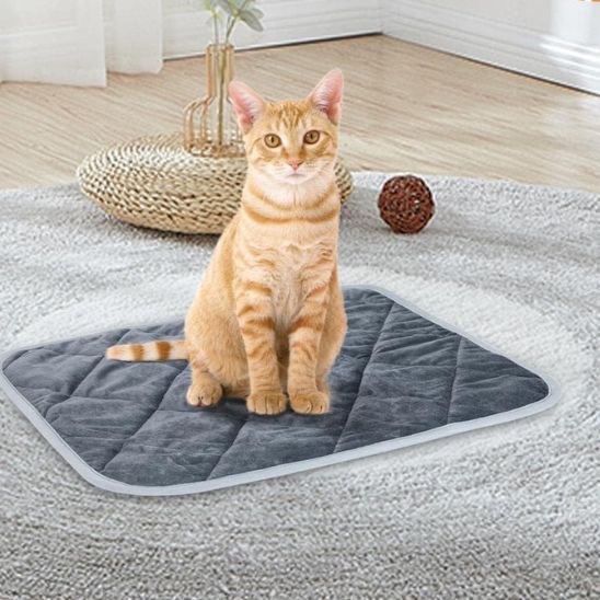 Coussin à chat | ChaudChat™ - Chat Bouge