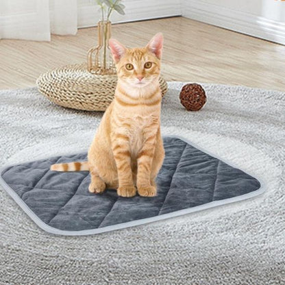 Coussin à chat | ChaudChat™ - Chat Bouge