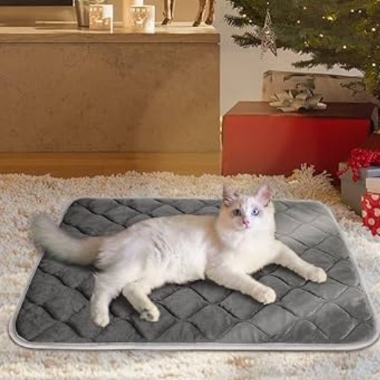 Coussin à chat | ChaudChat™ - Chat Bouge