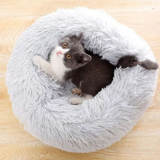 coussin chat blanc confortable