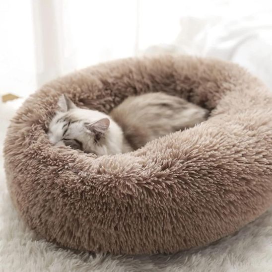 coussin chat brun réconfortant et moelleux