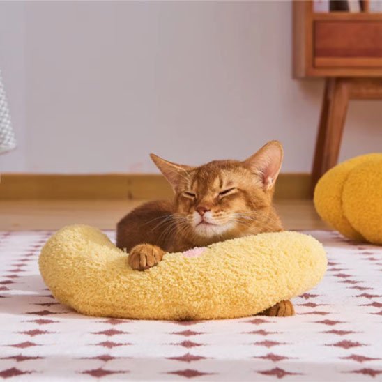 Coussin pour Chat - SmallPetPillow™ - Jaune - Chat Bouge
