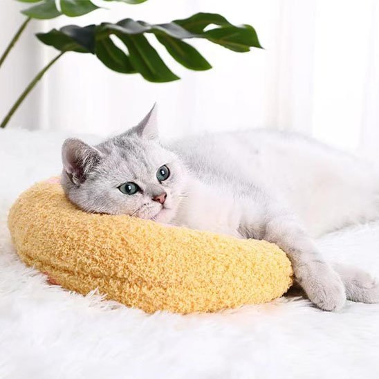 Coussin pour Chat - SmallPetPillow™ - Jaune - Chat Bouge