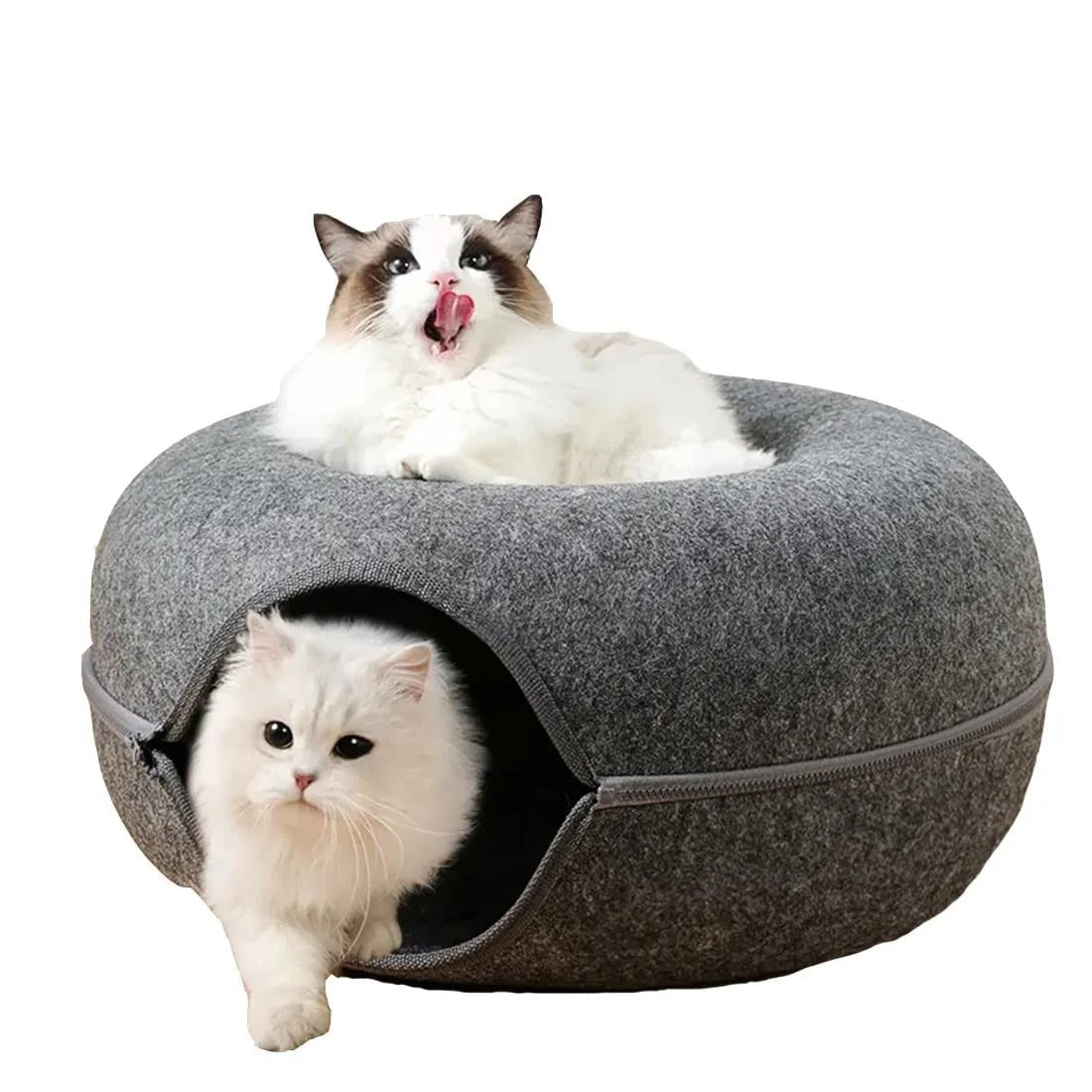 Lit pour Chat - ChatCondo™ - Gris Foncé - Chat Bouge