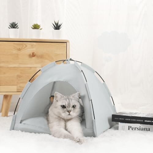 Tente Chat - CatTentBed™ - Gris Cyan - Chat Bouge